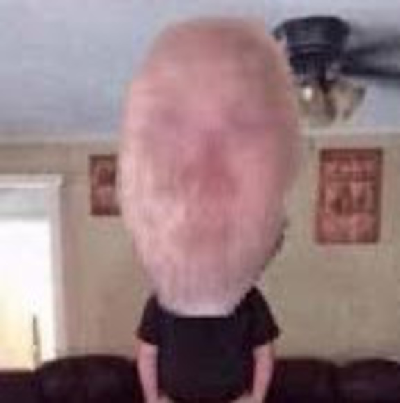 Meet your Posher, Reid - Picture 1 of 1